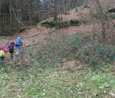 20160131_zadnji_prvoga_010