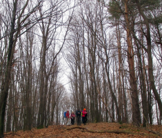 20160131_zadnji_prvoga_015