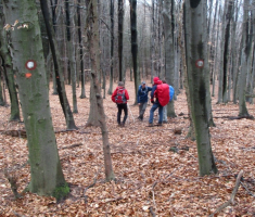 20160131_zadnji_prvoga_023