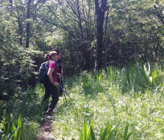 20150531_krndija_ivan_loncaric_009