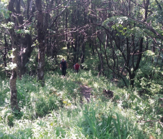 20150531_krndija_ivan_loncaric_011