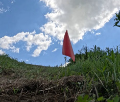 20250531_klopotec_trail_017
