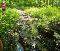 20250531_klopotec_trail_174