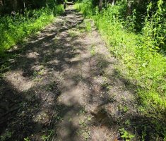 20250531_klopotec_trail_176
