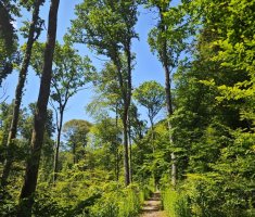 20250531_klopotec_trail_177