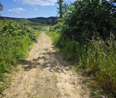 20250531_klopotec_trail_178