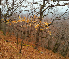 20131231_142959