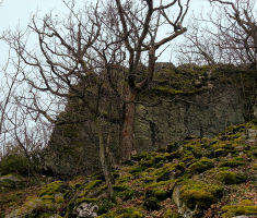 20131231_143248