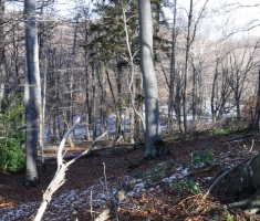 20171231_krmdija_008