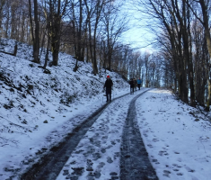 20171231_krmdija_012