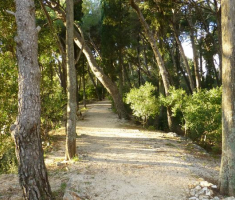 14-gradac