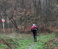 20150118_papuk_31km_006