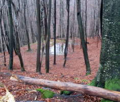 20150118_papuk_31km_009