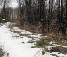 20150118_papuk_31km_024