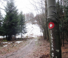 20150118_papuk_31km_025
