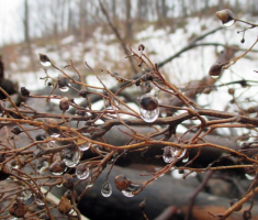 20150118_papuk_31km_026