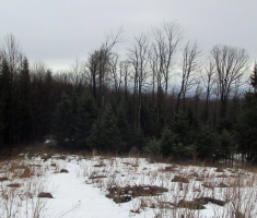 20150118_papuk_31km_027