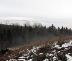 20150118_papuk_31km_028