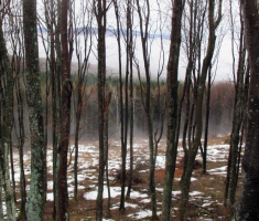 20150118_papuk_31km_030