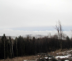 20150118_papuk_31km_040