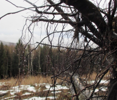 20150118_papuk_31km_042