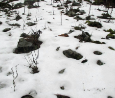 20150118_papuk_31km_044