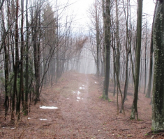 20150118_papuk_31km_045