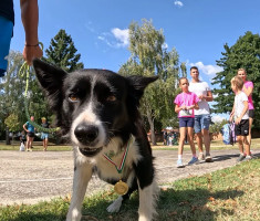 20260912_polumaraton_virovitica_barcs_115