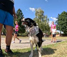 20260912_polumaraton_virovitica_barcs_116