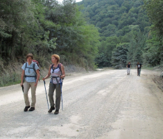 20150802_krndija_000-04