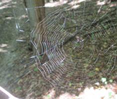 20150802_krndija_011