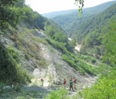 20150802_krndija_023