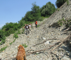 20150802_krndija_026