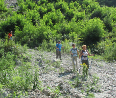20150802_krndija_027