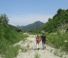 20150802_krndija_028