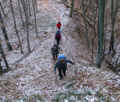20161231_pozeska_gora_020