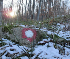 20161231_pozeska_gora_021