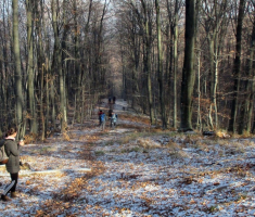 20161231_pozeska_gora_026