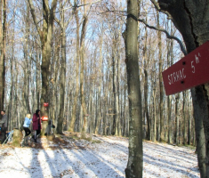 20161231_pozeska_gora_043