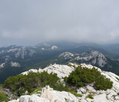 20140810_103027
