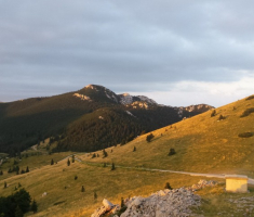 dscn5431