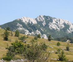 dscn6217